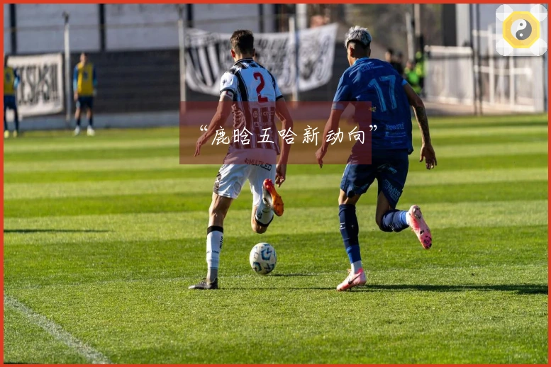 “鹿晗五哈新动向”